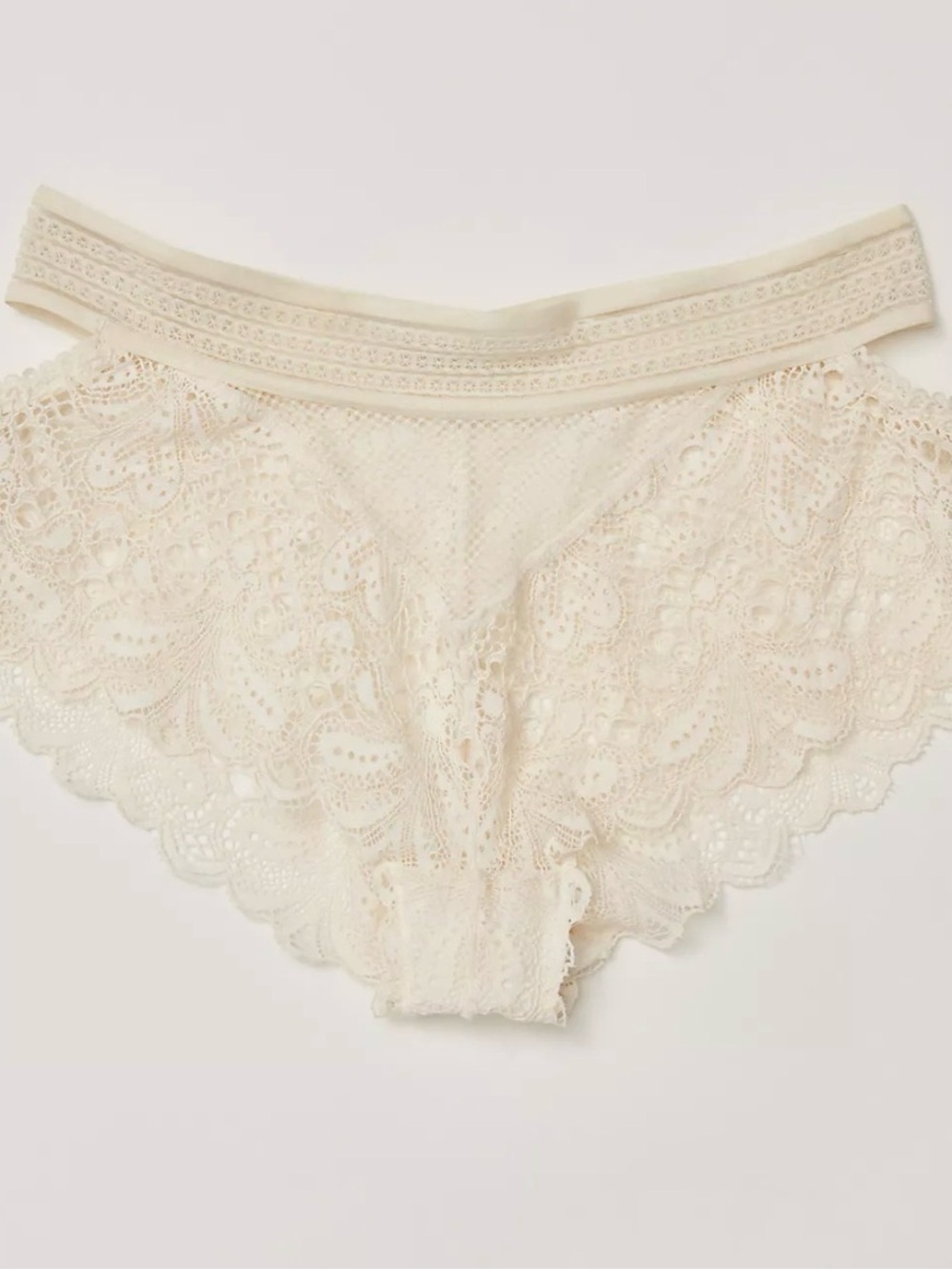 NWT Moonlit Meadow Lace High-Rise Briefs in Sugar Swizzle Color Size XL - Picture 5 of 9